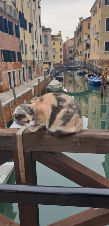 Magic Casanova Flat In The Heart Of Venice Apartment Luaran gambar